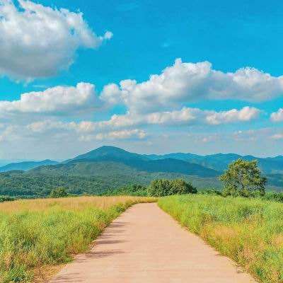 凤凰彩票appapp下载