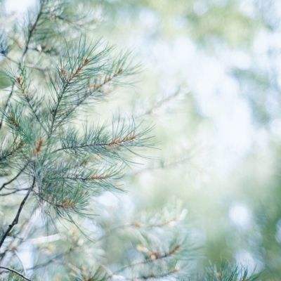 江南全站登录手机app下载